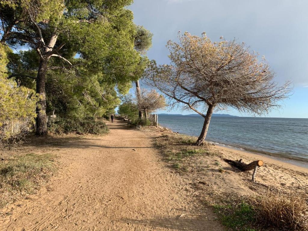 Joli T2 Proche Plage Dans Residence La Londe-les-Maures Exterior foto
